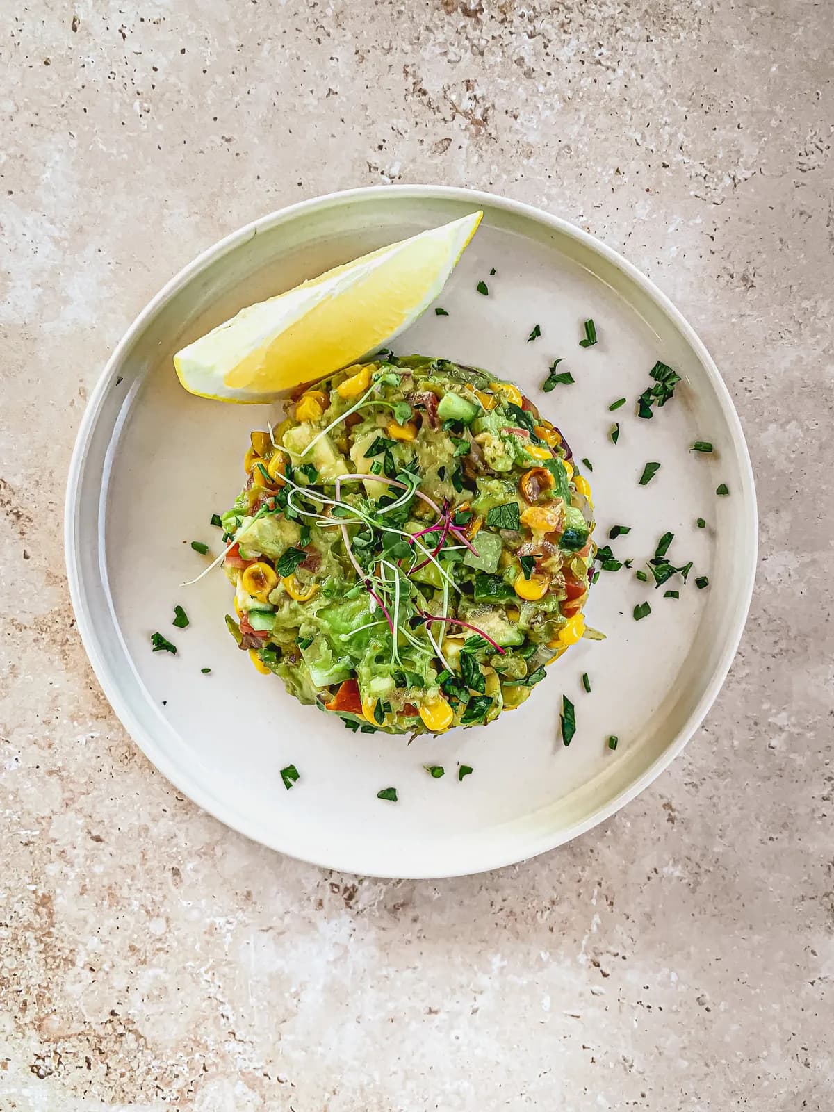 Guacamole plated for an Artistry food shoot.